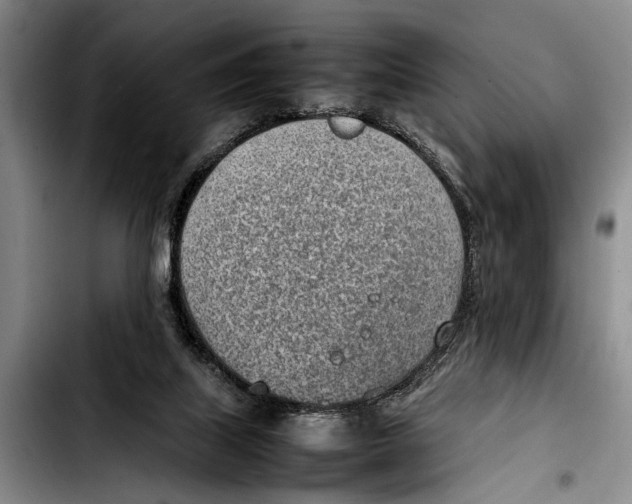 X0000103410067200810101006