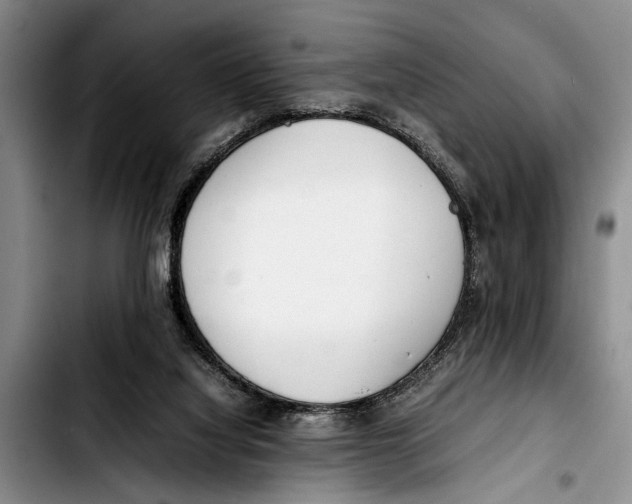 X0000103410068200810101006