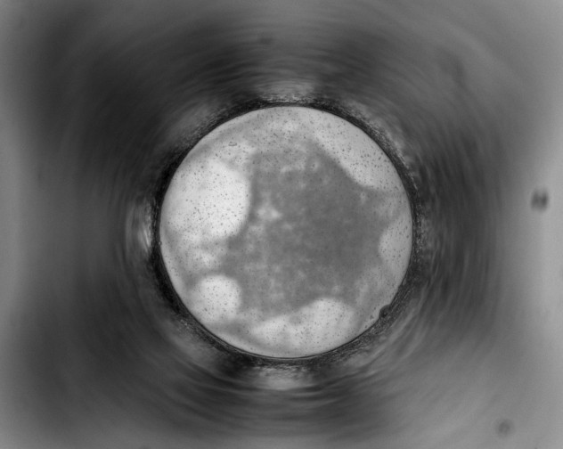 X0000103410069200810101006