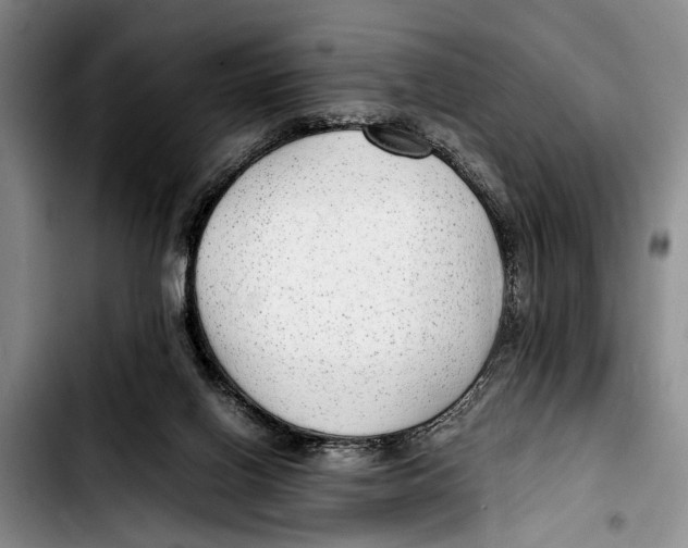 X0000103410070200810101006