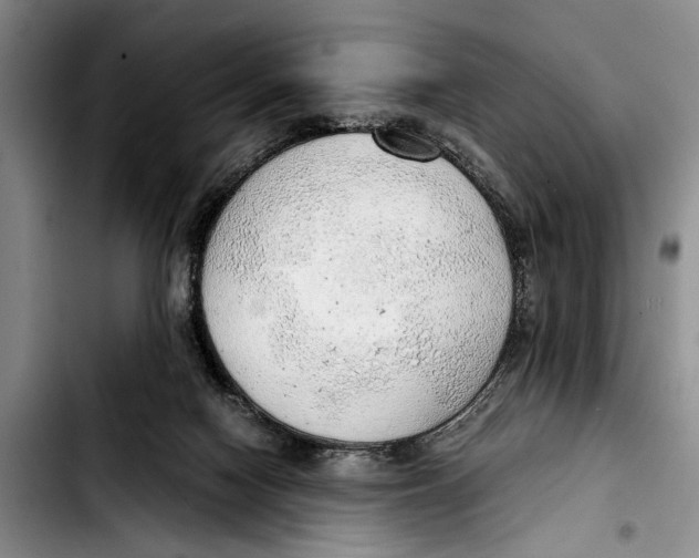 X0000103410074200810101006