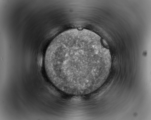 X0000103410076200810101006