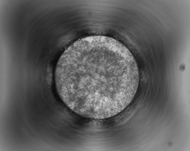 X0000103410080200810101006