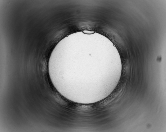 X0000103410081200810101006