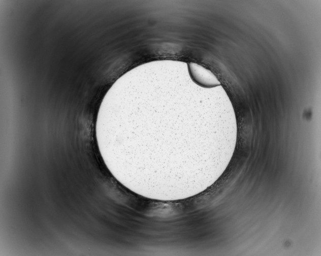 X0000103410083200810101006