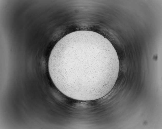 X0000103410086200810101006