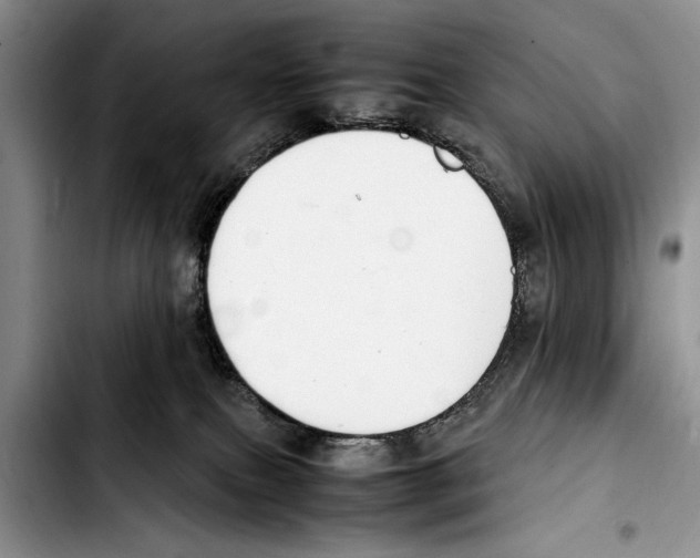 X0000103410087200810101006