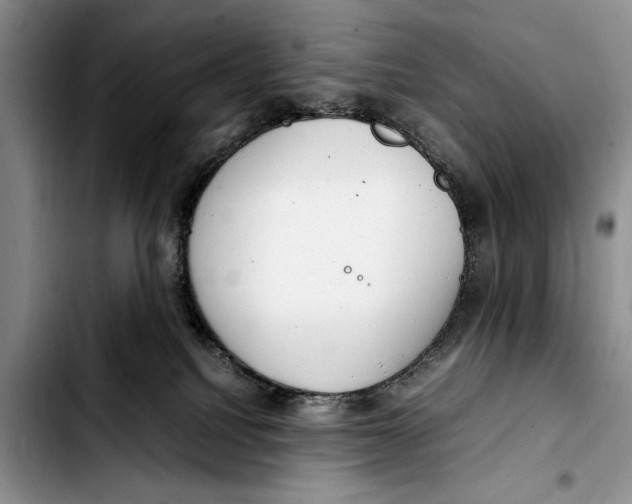 X0000103410088200810101006