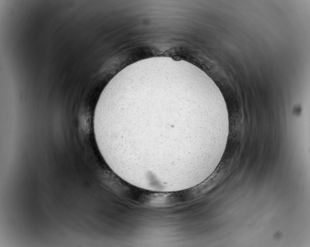 X0000103410090200810101006