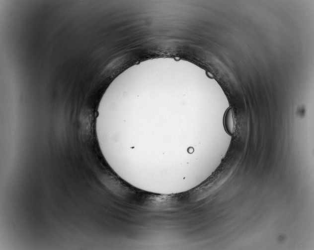 X0000103410092200810101006