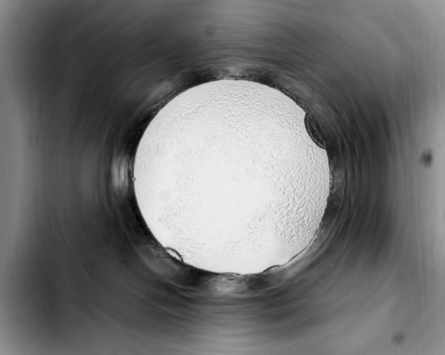 X0000103410094200810101006