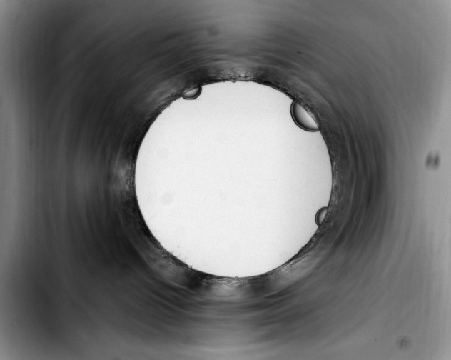 X0000103410096200810101006