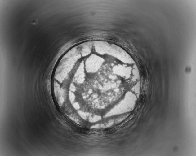 X0000103410099200810101005