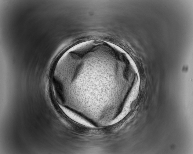 X0000103410101200810101005