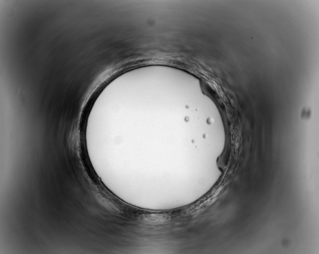 X0000103410102200810101005