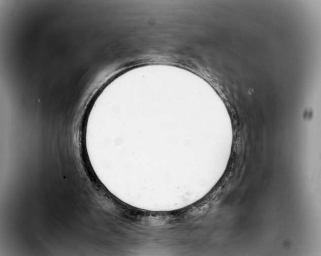 X0000103410103200810101005