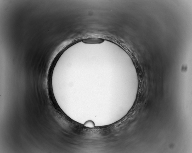 X0000103410104200810101005