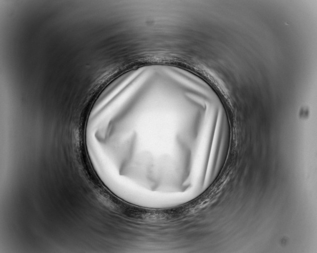 X0000103410105200810101005