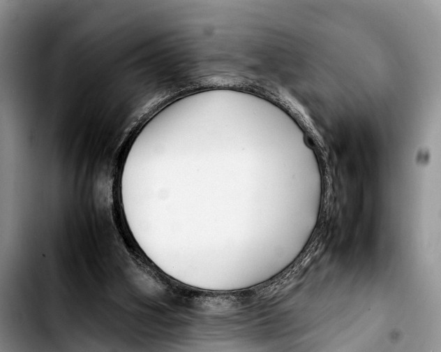 X0000103410106200810101005