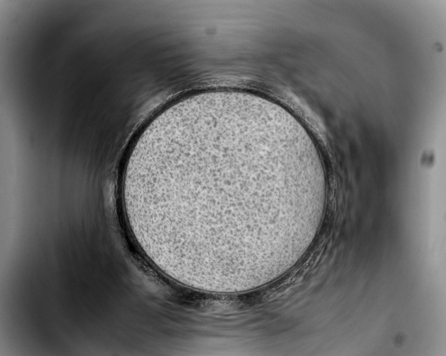 X0000103410107200810101005