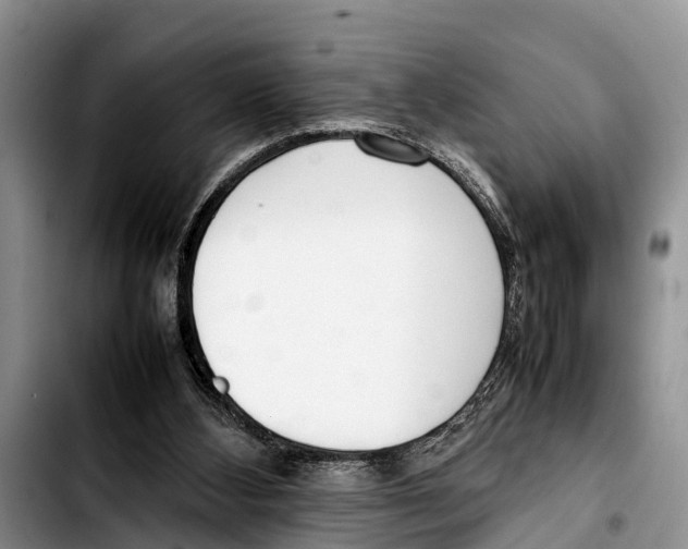 X0000103410108200810101005