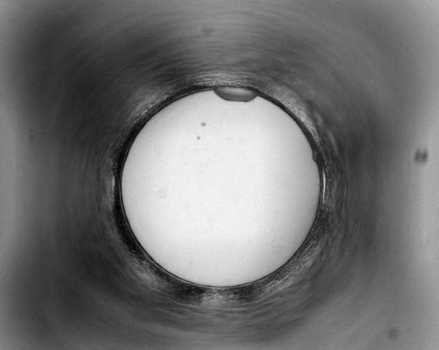 X0000103410109200810101005