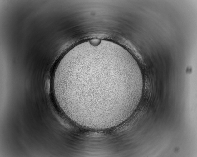 X0000103410110200810101005