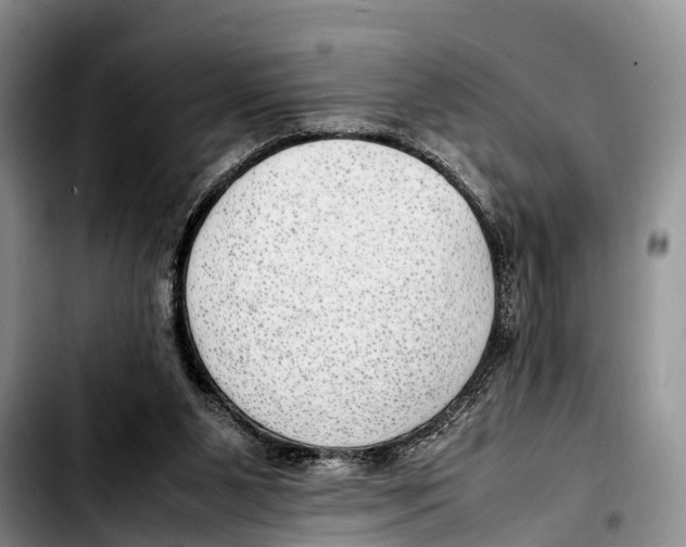 X0000103410111200810101005