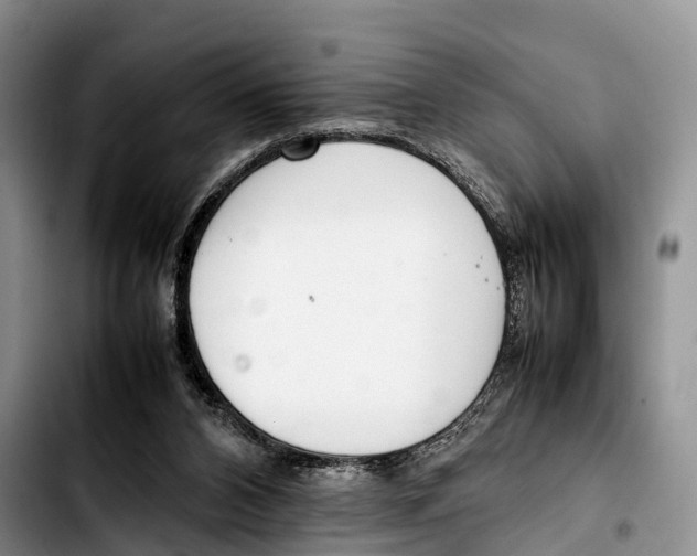 X0000103410112200810101005