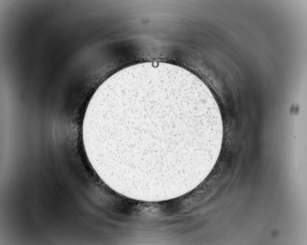 X0000103410113200810101005