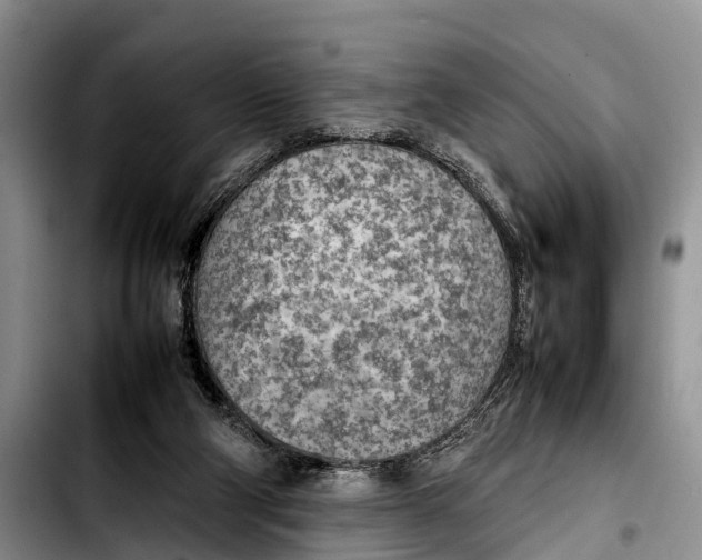 X0000103410114200810101005