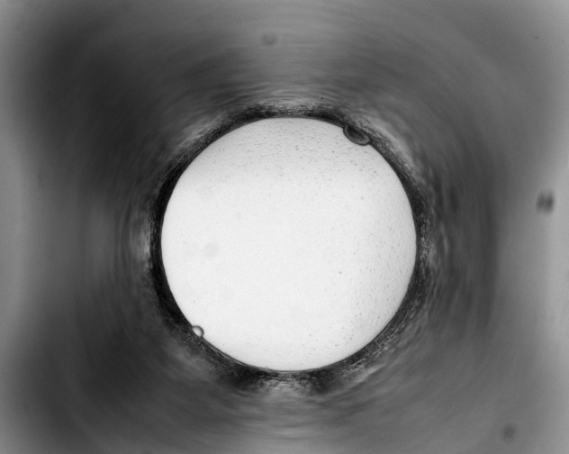 X0000103410115200810101005