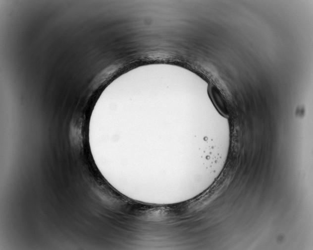 X0000103410116200810101005