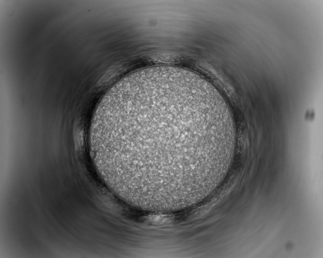 X0000103410117200810101005