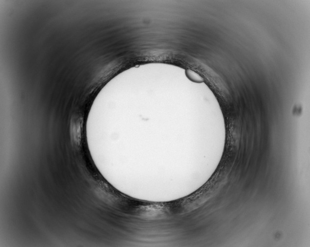 X0000103410118200810101005