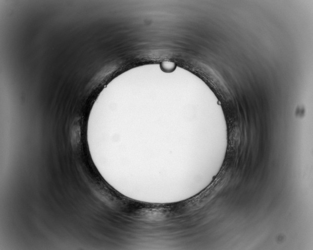 X0000103410120200810101005