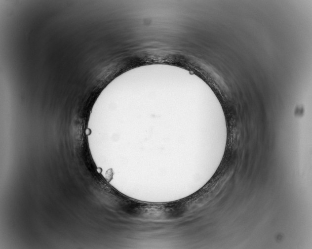 X0000103410121200810101005