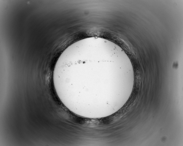 X0000103410125200810101005