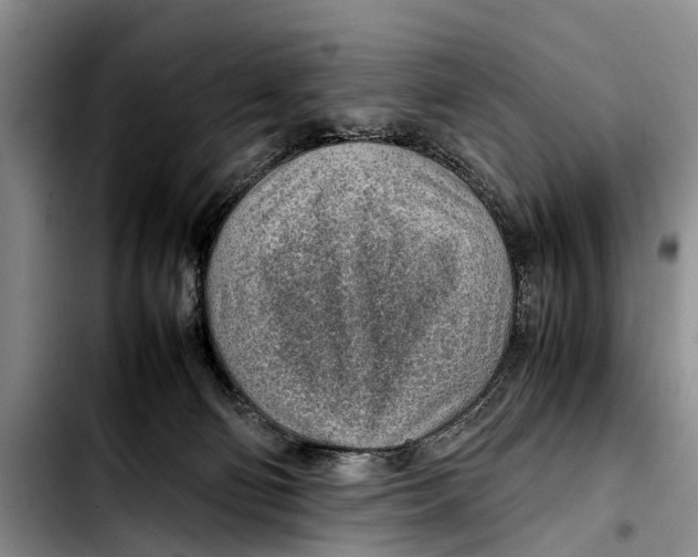 X0000103410130200810101005