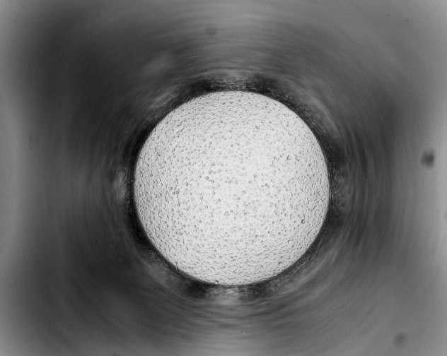 X0000103410131200810101005