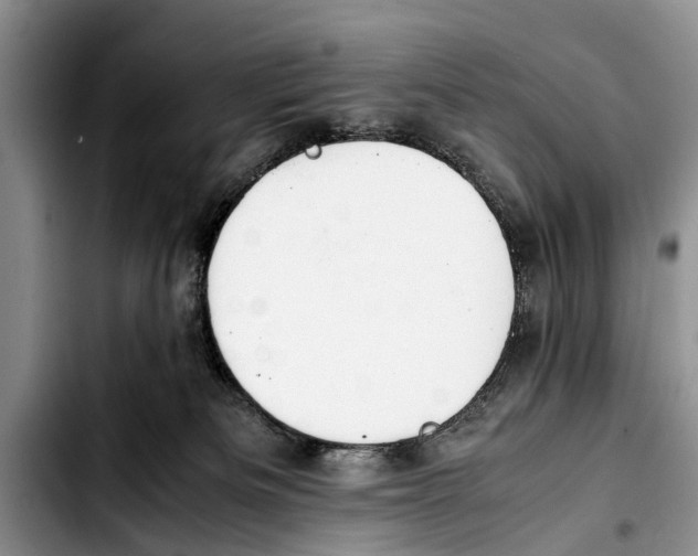 X0000103410133200810101005