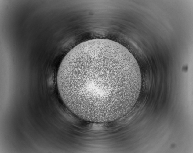 X0000103410134200810101005