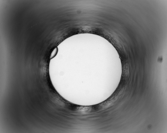 X0000103410135200810101005