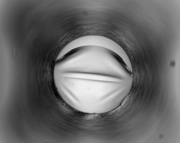 X0000103410136200810101005