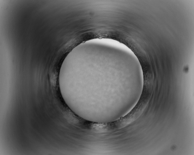 X0000103410139200810101005