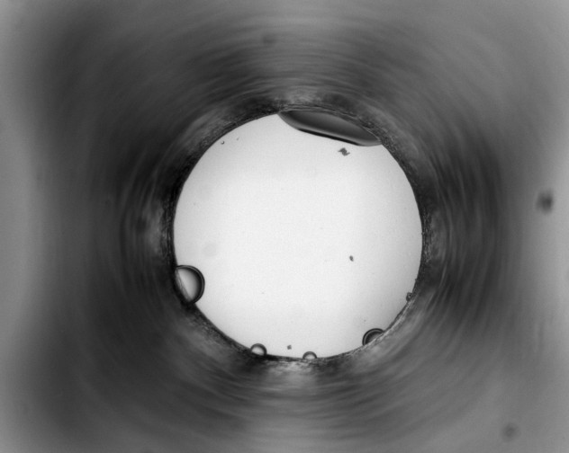 X0000103410140200810101005