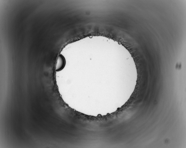 X0000103410144200810101005