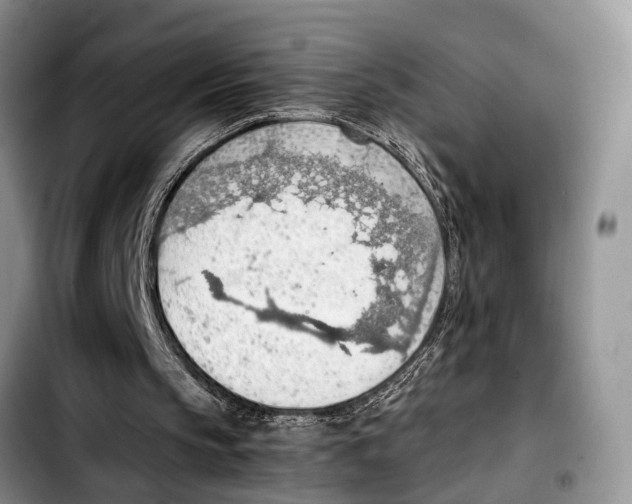 X0000103410145200810101004