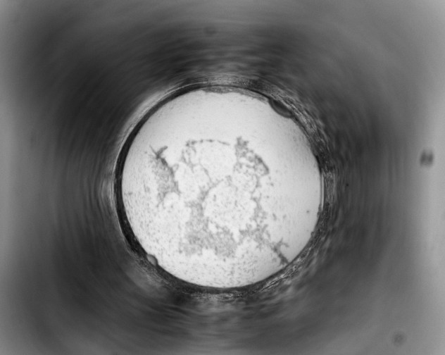 X0000103410147200810101004