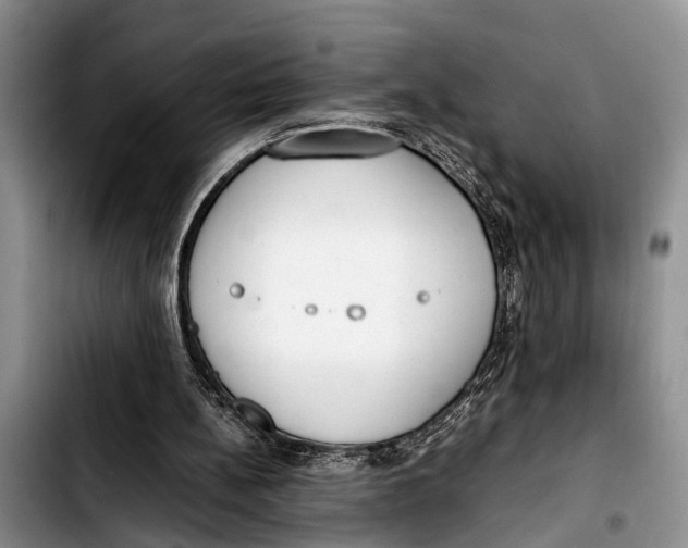 X0000103410148200810101004